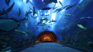 Best Indoor Attractions In Dubai During Summer: 10 Amazing Places To Beat The Heat