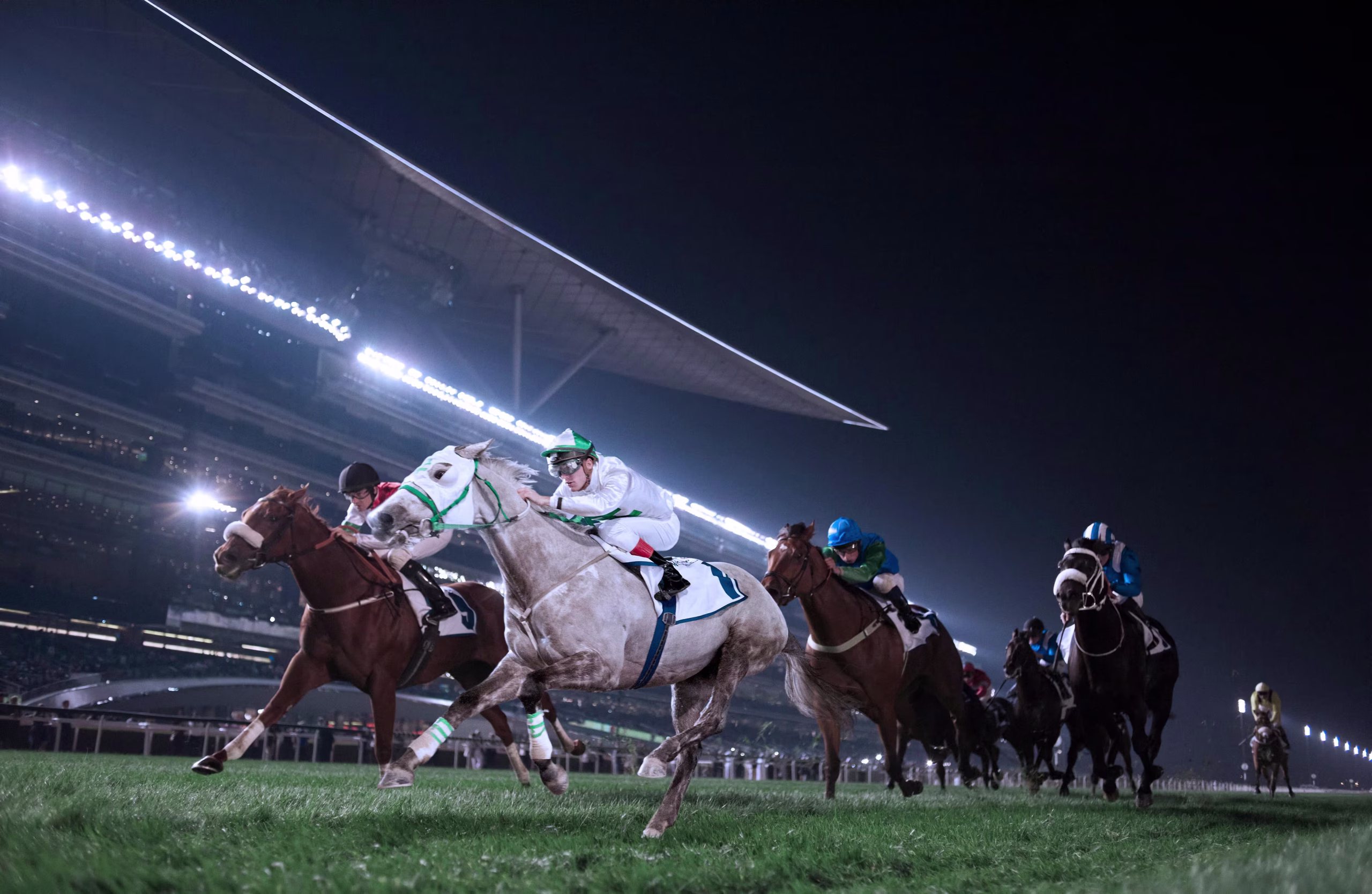 Dubai Sporting Events horse racing crowd