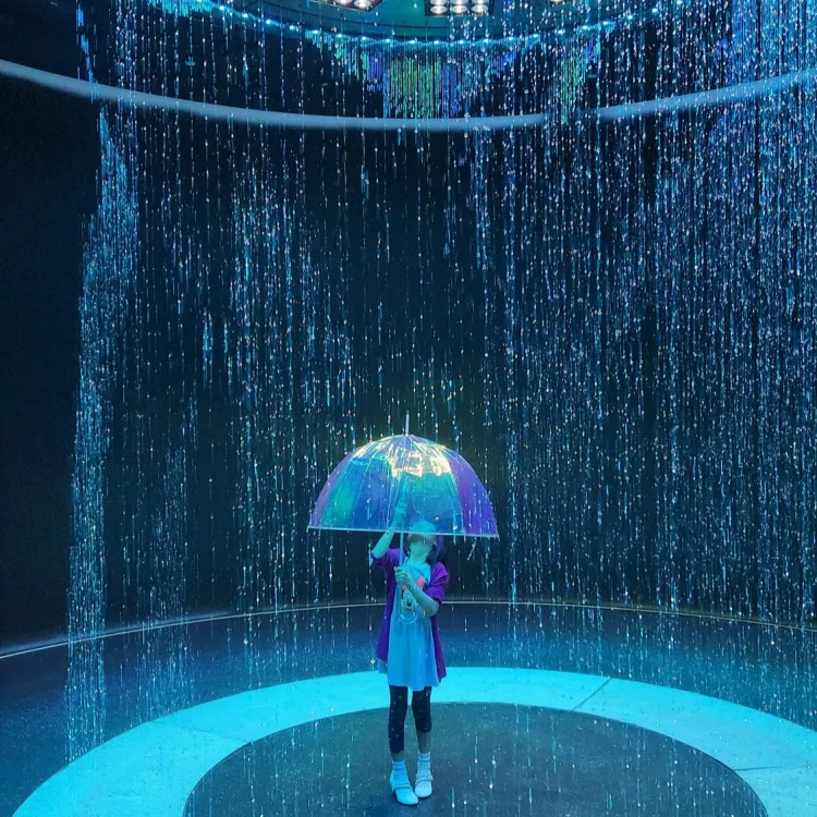 rainy day activities Dubai — Dubai Aquarium underwater zoo