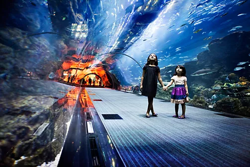 Indoor activities for families in Dubai at a theme park