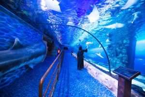 new things to do Dubai indoor attraction