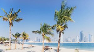 Best Free Beaches In Dubai To Visit This Year