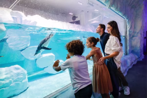 Free Family Activities In Dubai: 12 Fun Ideas Everyone Will Love